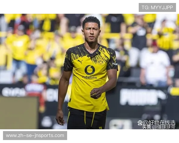 英超粉丝最多的顶级球队及其品牌影响力和商业价值 英超粉丝最多的顶级球队及其品牌影响力和商业价值