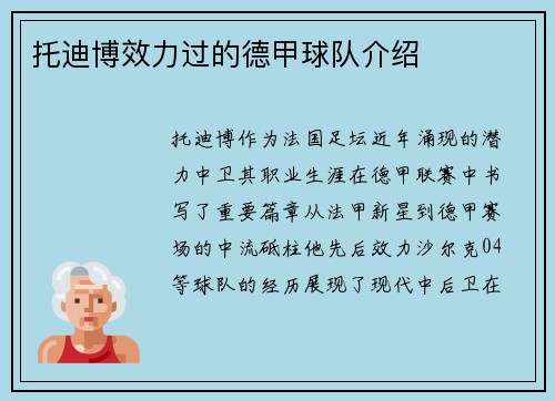 托迪博效力过的德甲球队介绍